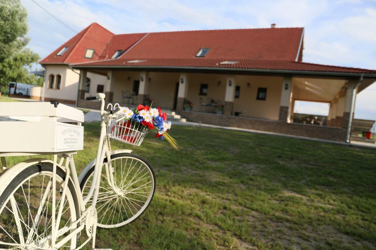 Tiszavilag Pihenohaz Hotel Tiszakécske Buitenkant foto